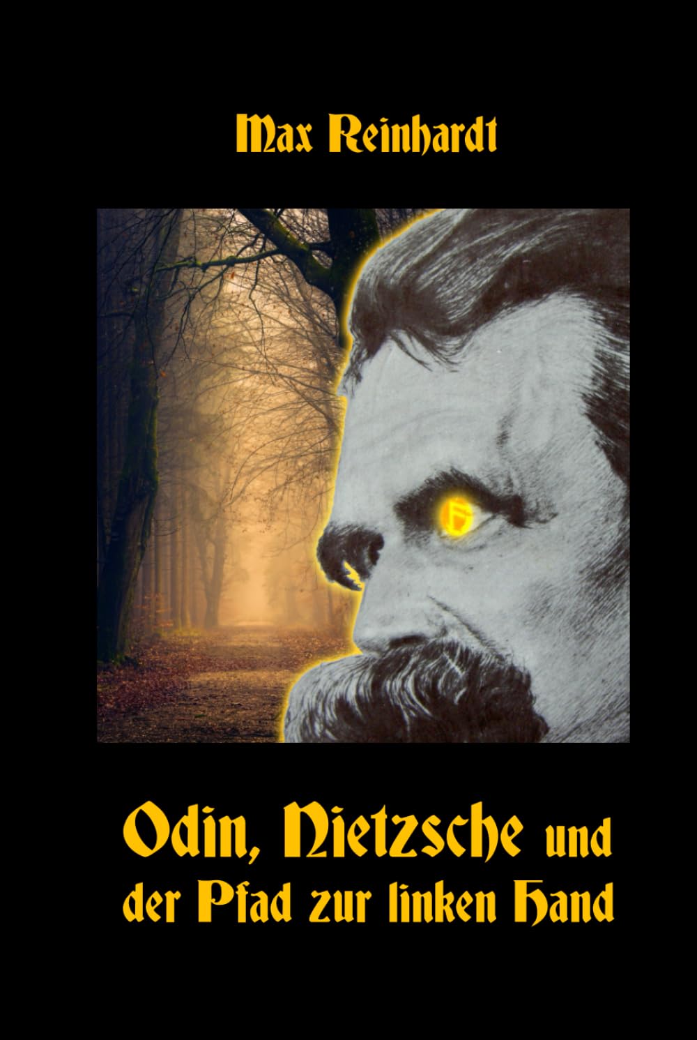 Odin, Nietzsche und der Pfad zur linken Hand Study Guides