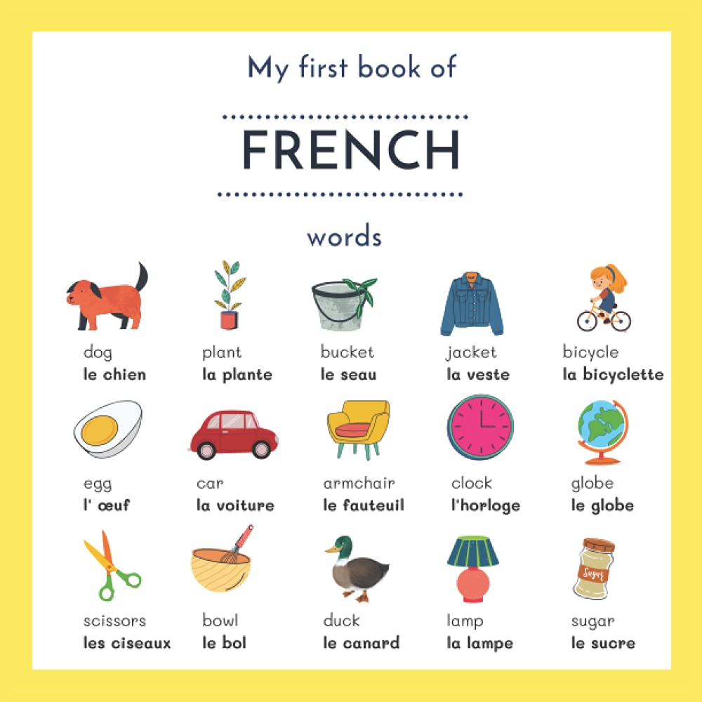 My First Book Of French Words: My First Words in French | English French Picture Dictionary | French English Children's Book | French English ... Books For Children French | Anglais Français Travel Books