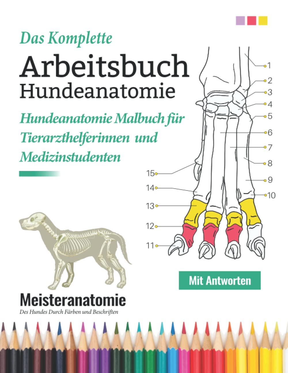 Das Komplette Arbeitsbuch Hundeanatomie: Hundeanatomie Malbuch für Tierarzthelferinnen und Medizinstudenten - Meisteranatomie Des Hundes Durch Färben ... | Perfekte Geschenke für Hundeliebhaber Medicine