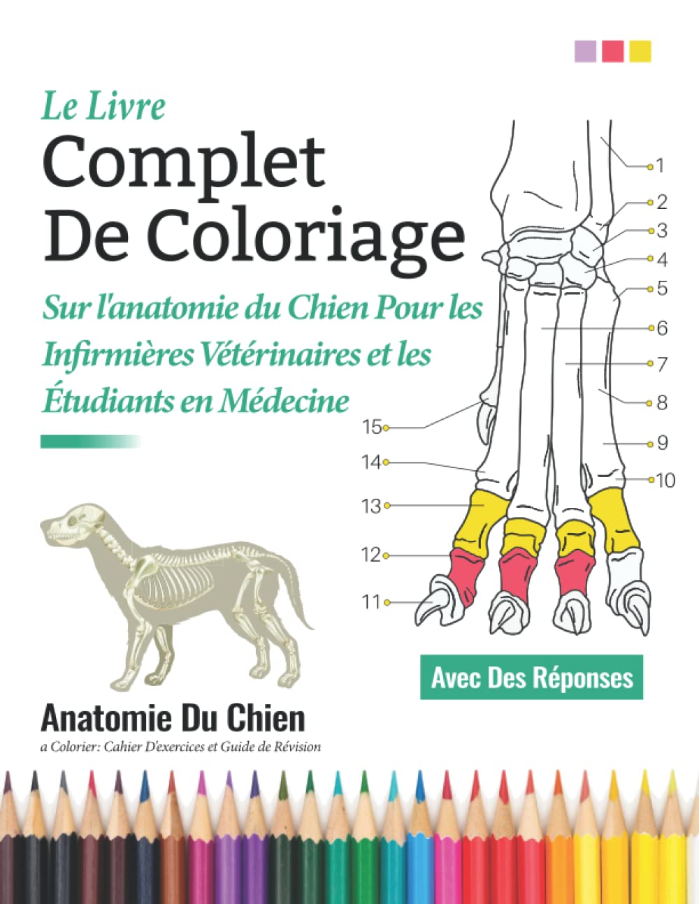 Le Livre Complet De Coloriage sur l'anatomie du chien pour les infirmières vétérinaires et les étudiants en médecine - Anatomie Du Chiena Colorier: ... d'anatomie de chien | Cadeaux parfaits Medicine