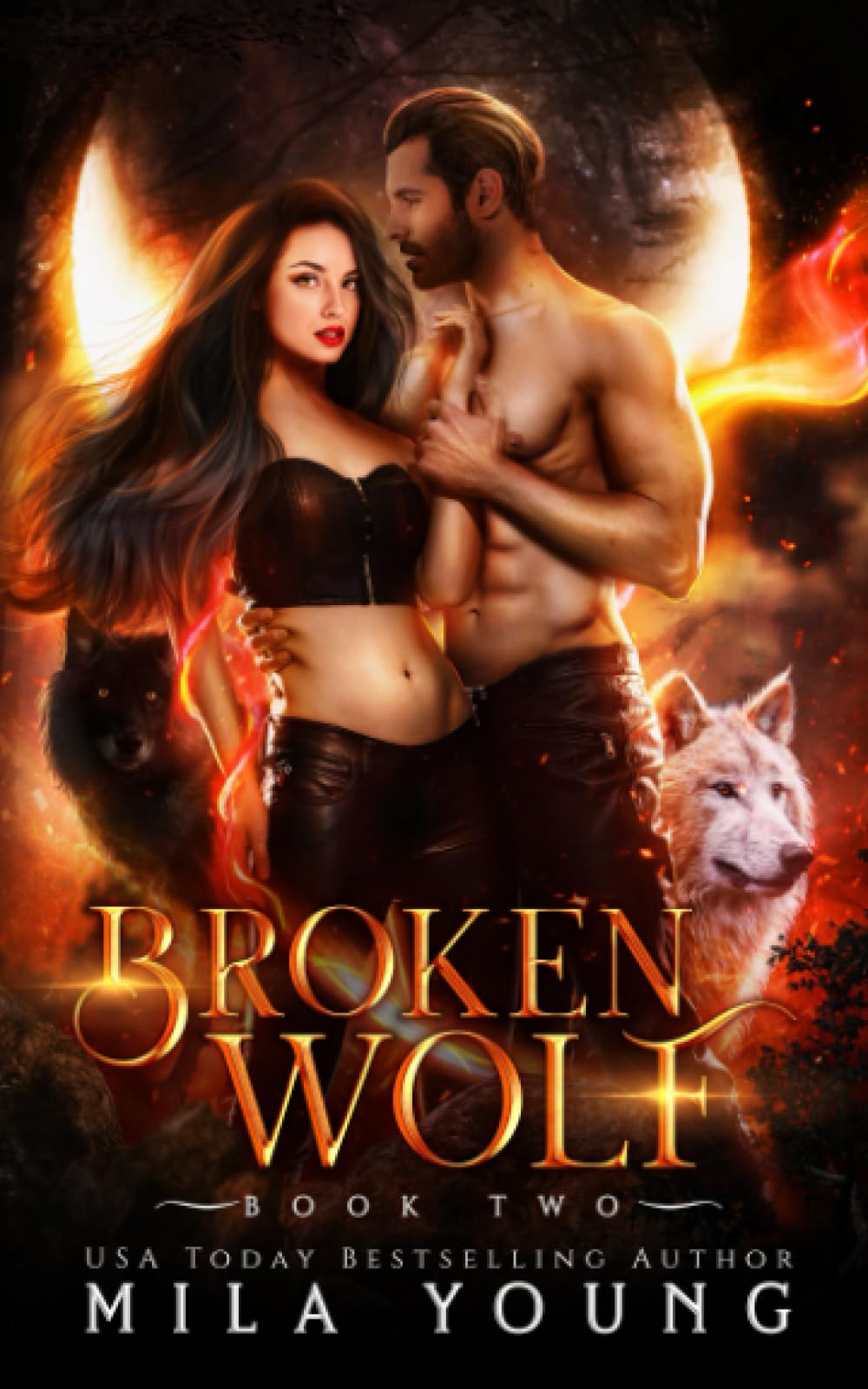 Broken Wolf: A Rejected Mates Paranormal Romance (Savage, Band 2) Dragons & Creatures