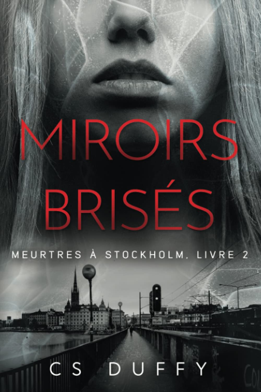 Miroirs brisés: Meurtres à Stockholm t.2 book