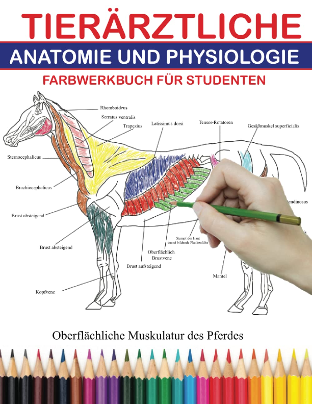 TIERÄRZTLICHE ANATOMIE UND PHYSIOLOGIE FARBWERKBUCH FÜR STUDENTEN: Das ultimative Malbuch für Zoologie. Erfahren Sie mehr über Tiere wie Pferd, Hund, ... Perfektes Geschenk für Erwachsene und Kinder Medicine