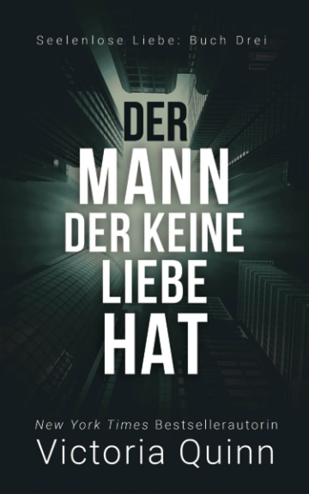 Der Mann, der keine Liebe hat (Seelenlose Liebe, Band 3) Contemporary literature