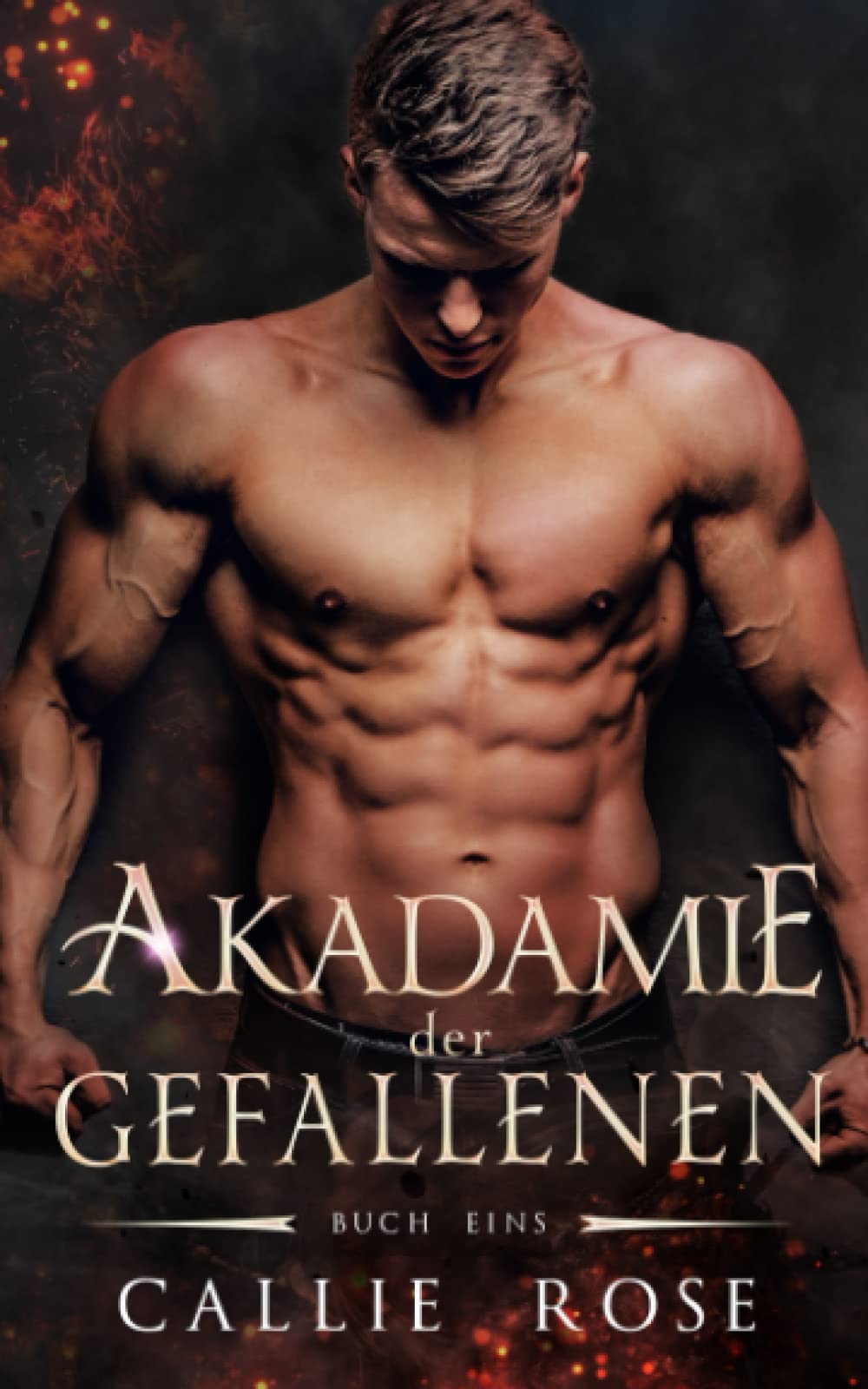 Akademie der Gefallenen: Buch Eins: Ein paranormaler Reverse Harem Liebesroman book