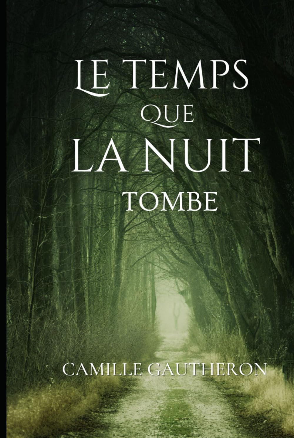 Le temps que la nuit tombe: Recueil de poèmes book