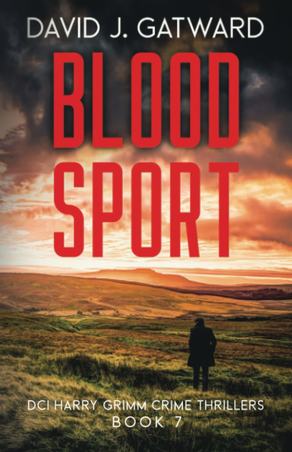 Blood Sport: A Yorkshire Murder Mystery (DCI Harry Grimm Crime Thrillers 7) book