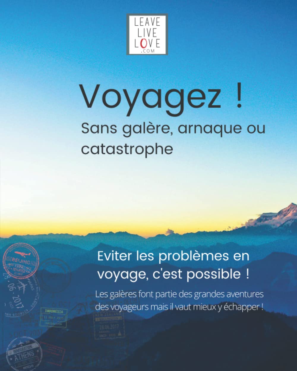 Voyagez ! Sans galère, arnaque ou catastrophe: Eviter les problèmes en voyage, c'est possible ! book