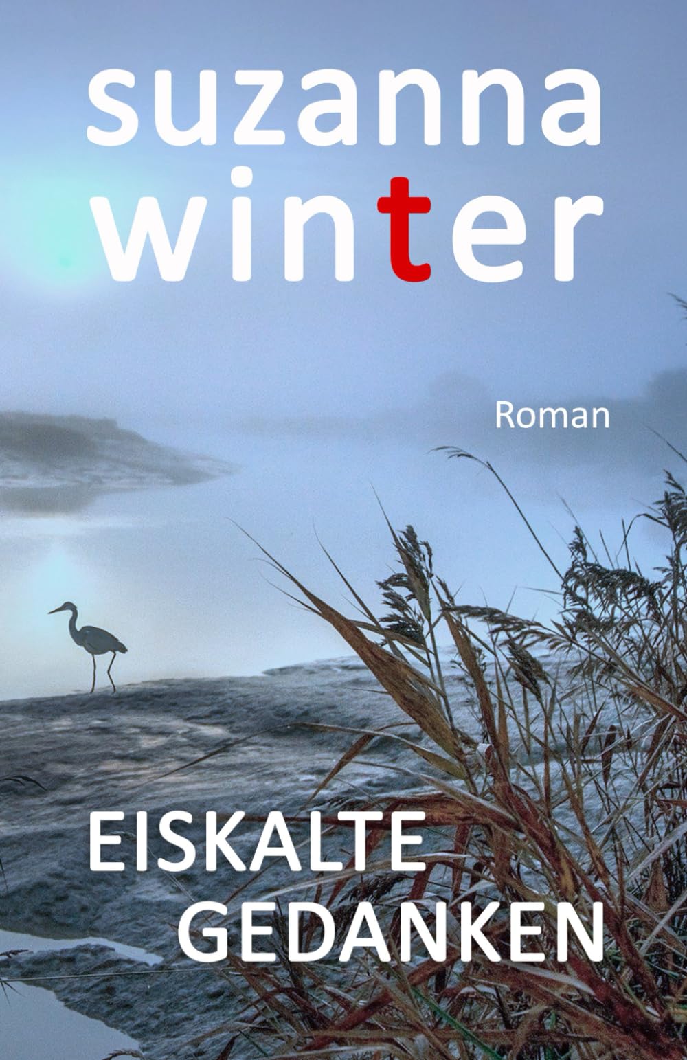 EISKALTE GEDANKEN Suspense & Thrillers