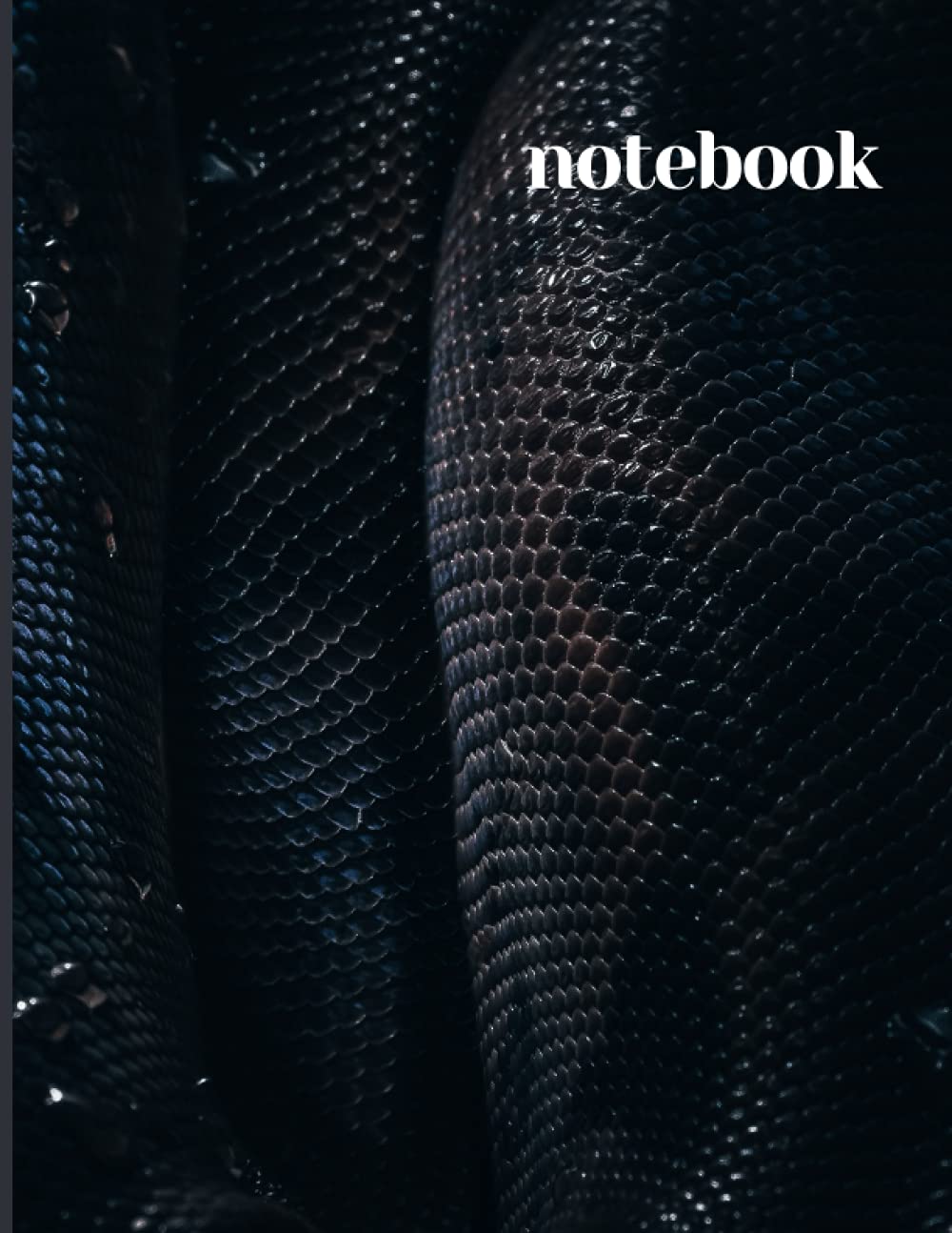 Notebook: Black SNACK Composition Notebook - College Ruled 110 Pages - 8.5 x 11 BRILLIANT COVER: The minimal Composition Notebook / Journal / ... for writing notes and jotting down thoughts. Reading Aloud & Learning to Read