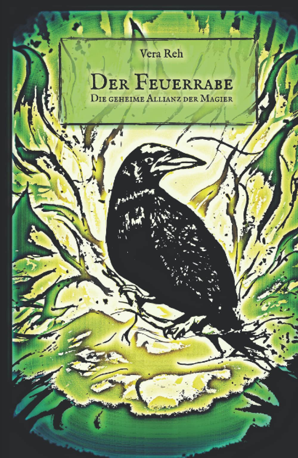 Der Feuerrabe: Die geheime Allianz der Magier: Die geheime Allianz der Magier Fantasy & Sci-Fi
