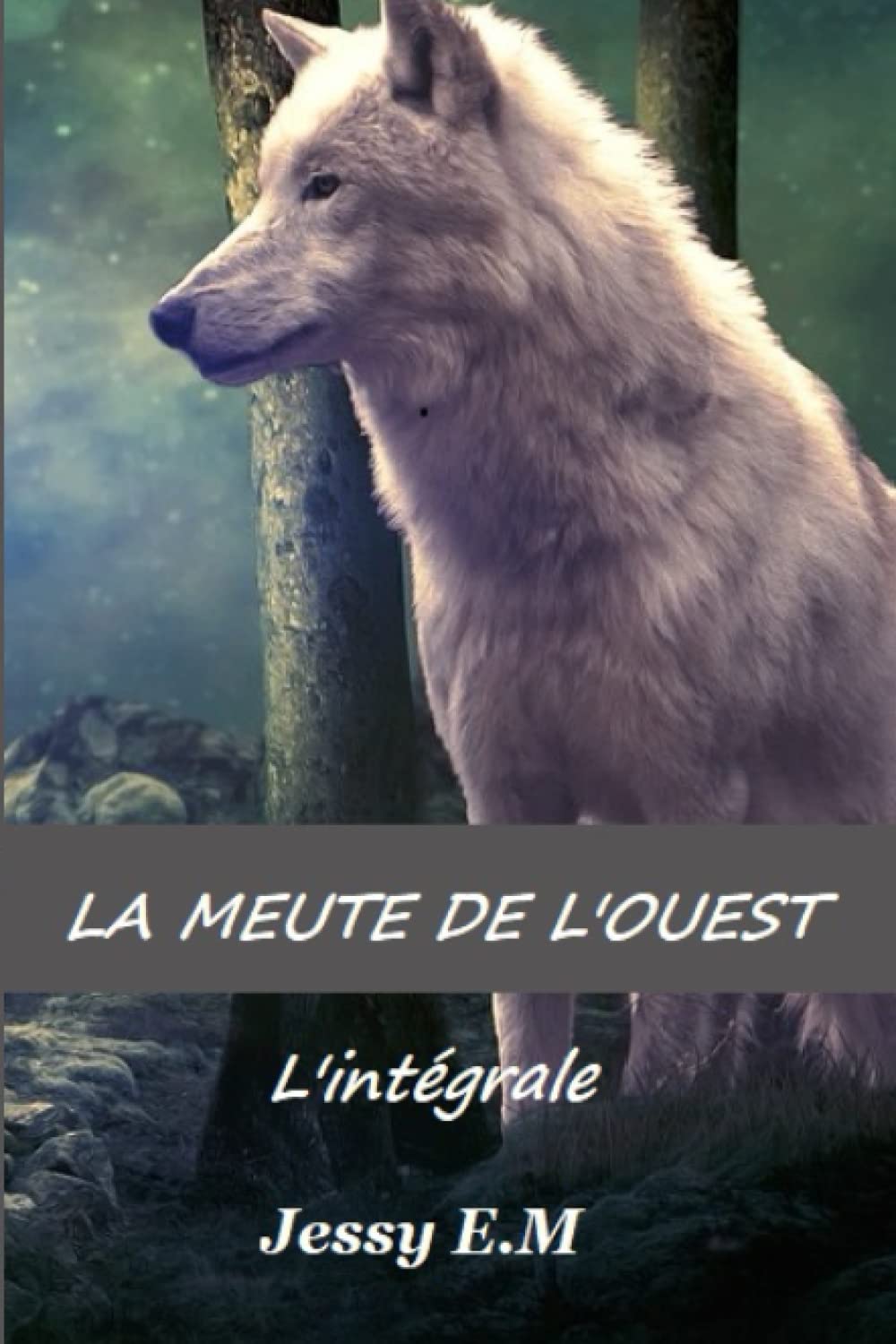 La meute de l'ouest: L'intégrale book