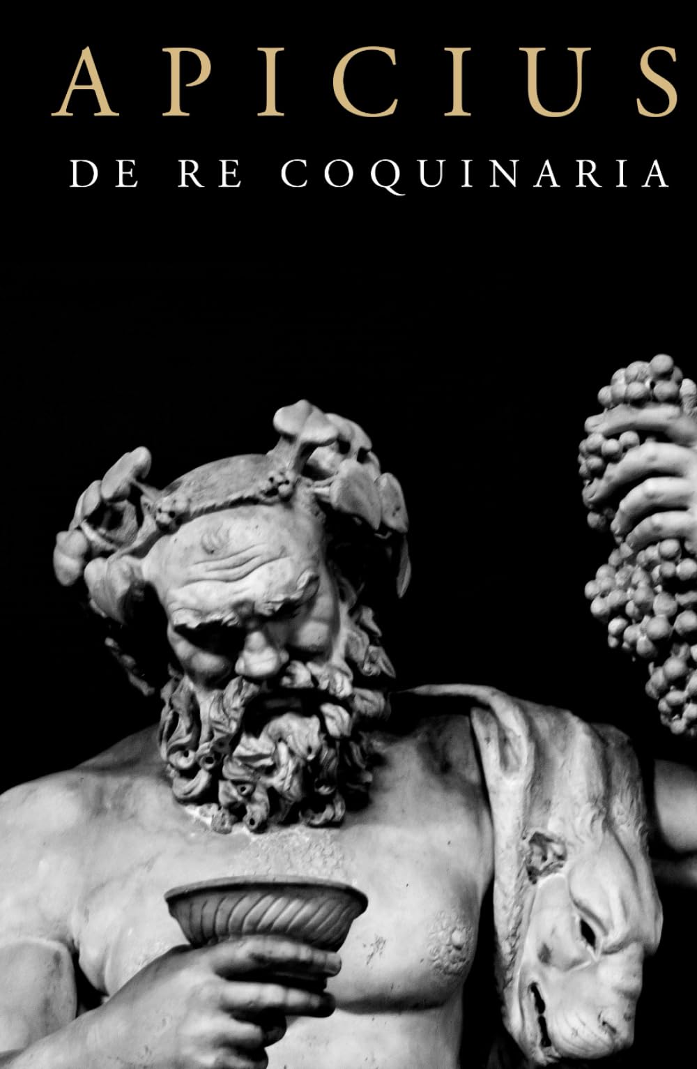 Apicius: De Re Coquinaria Cookbook Politics & History