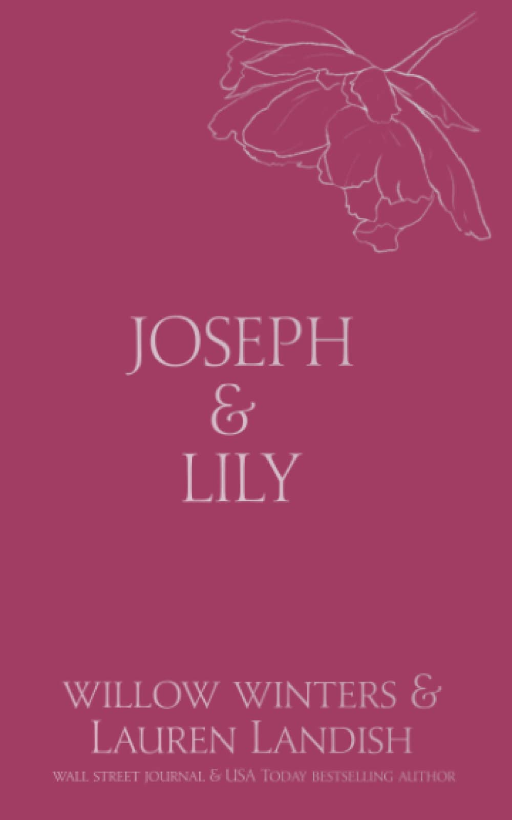 Joseph & Lily: Owned (Discreet Series, Band 10) Contemporary Romance