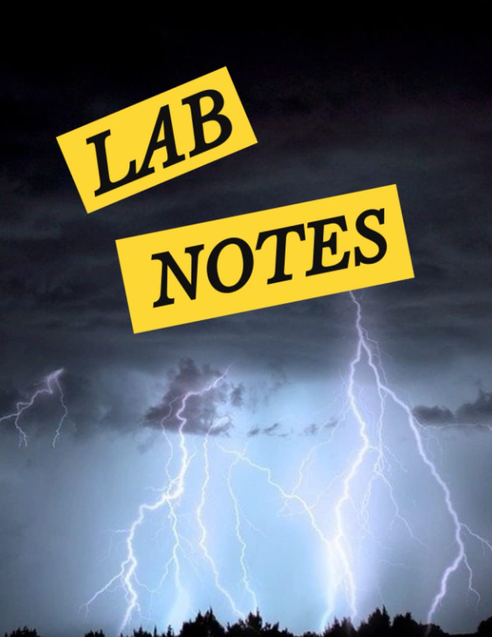 Lab Notes: Look-alike Gale Boetticher's Lab Notes Notebook from Breaking Bad | Great for students! | 8.5" x 11" Learning & Reference
