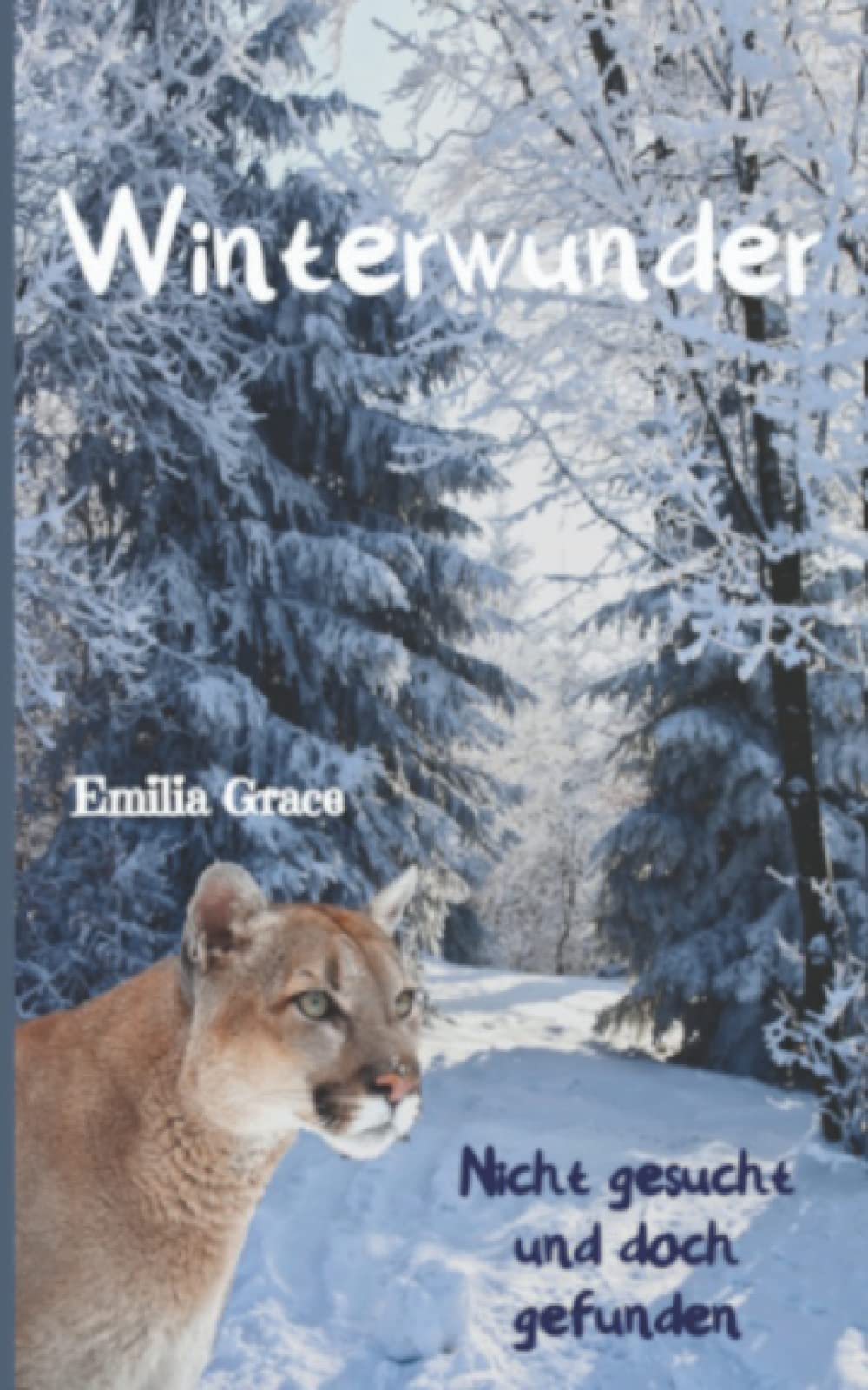 Winterwunder - Nicht gesucht und doch gefunden LGBTQ+