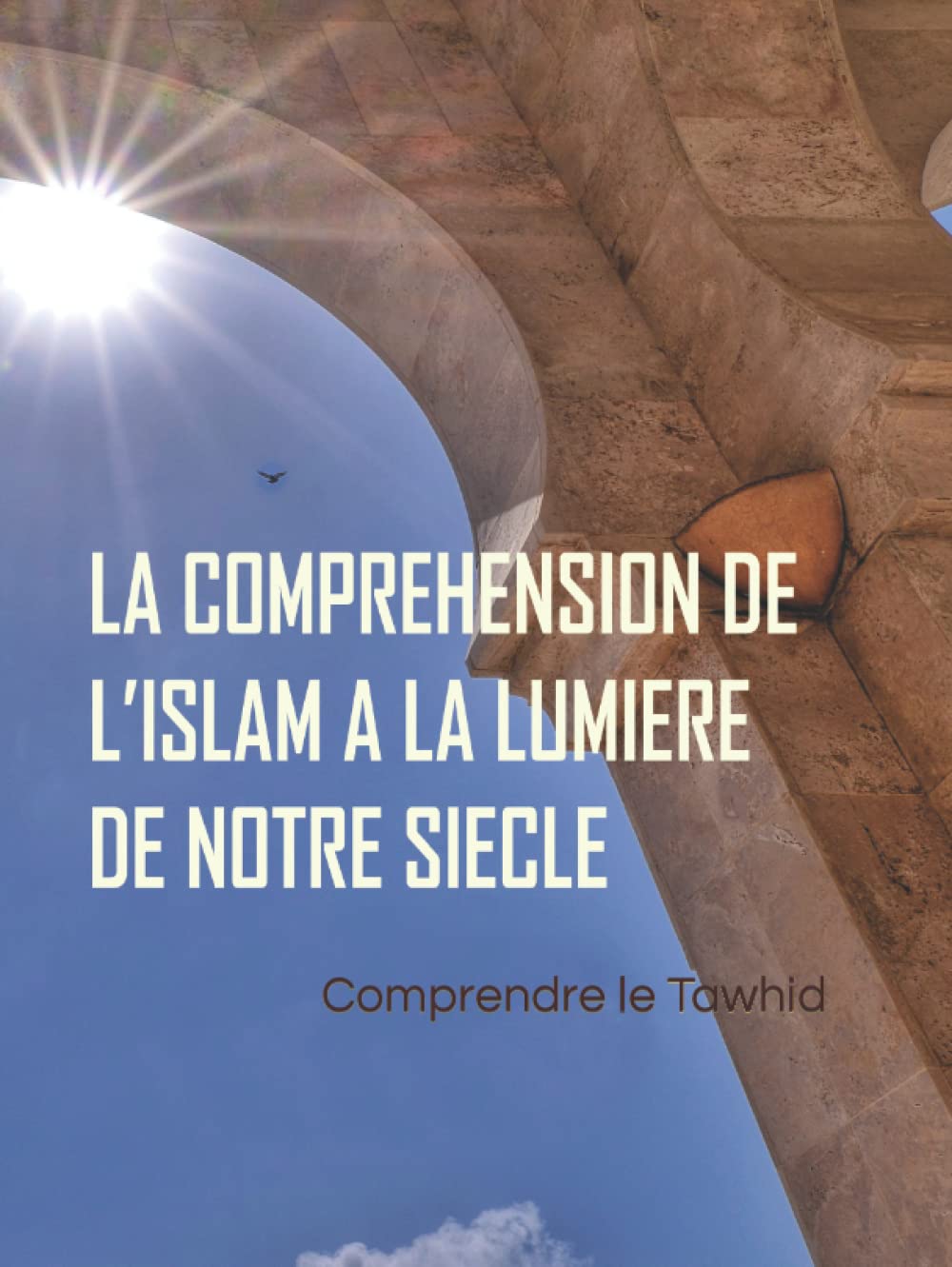 LA COMPREHENSION DE L’ISLAM A LA LUMIERE DE NOTRE SIECLE book
