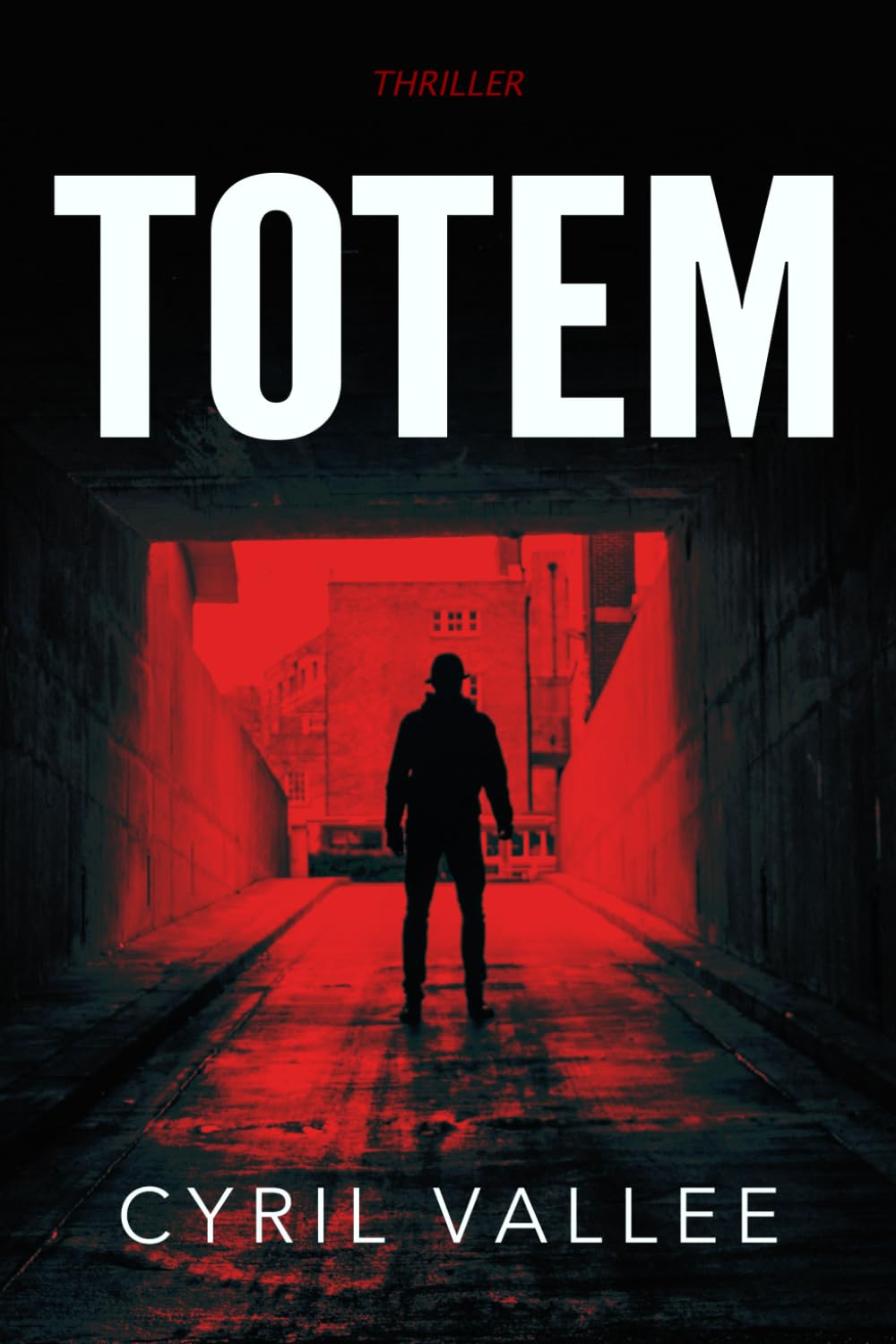 Product Image: Totem: un thriller