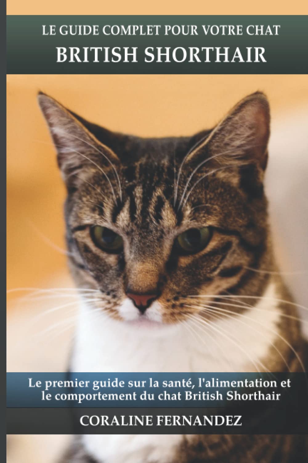 Le guide complet pour votre chat British shorthair: Le premier guide sur la santé, la nutrition et le comportement du chat British shorthair book