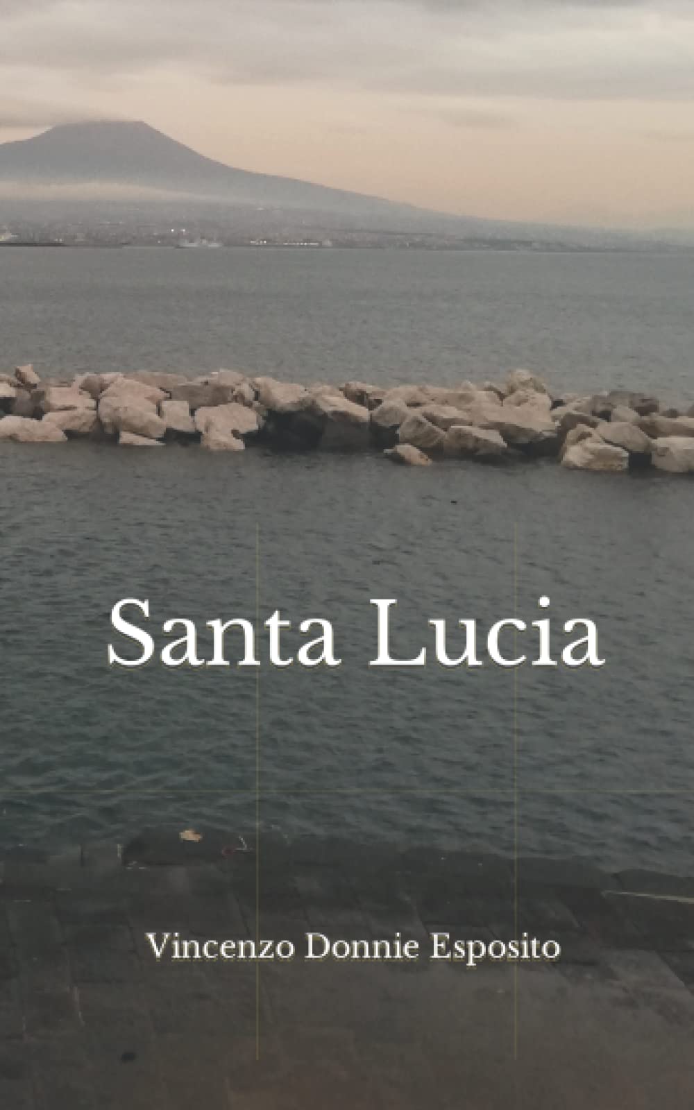 Santa Lucia book