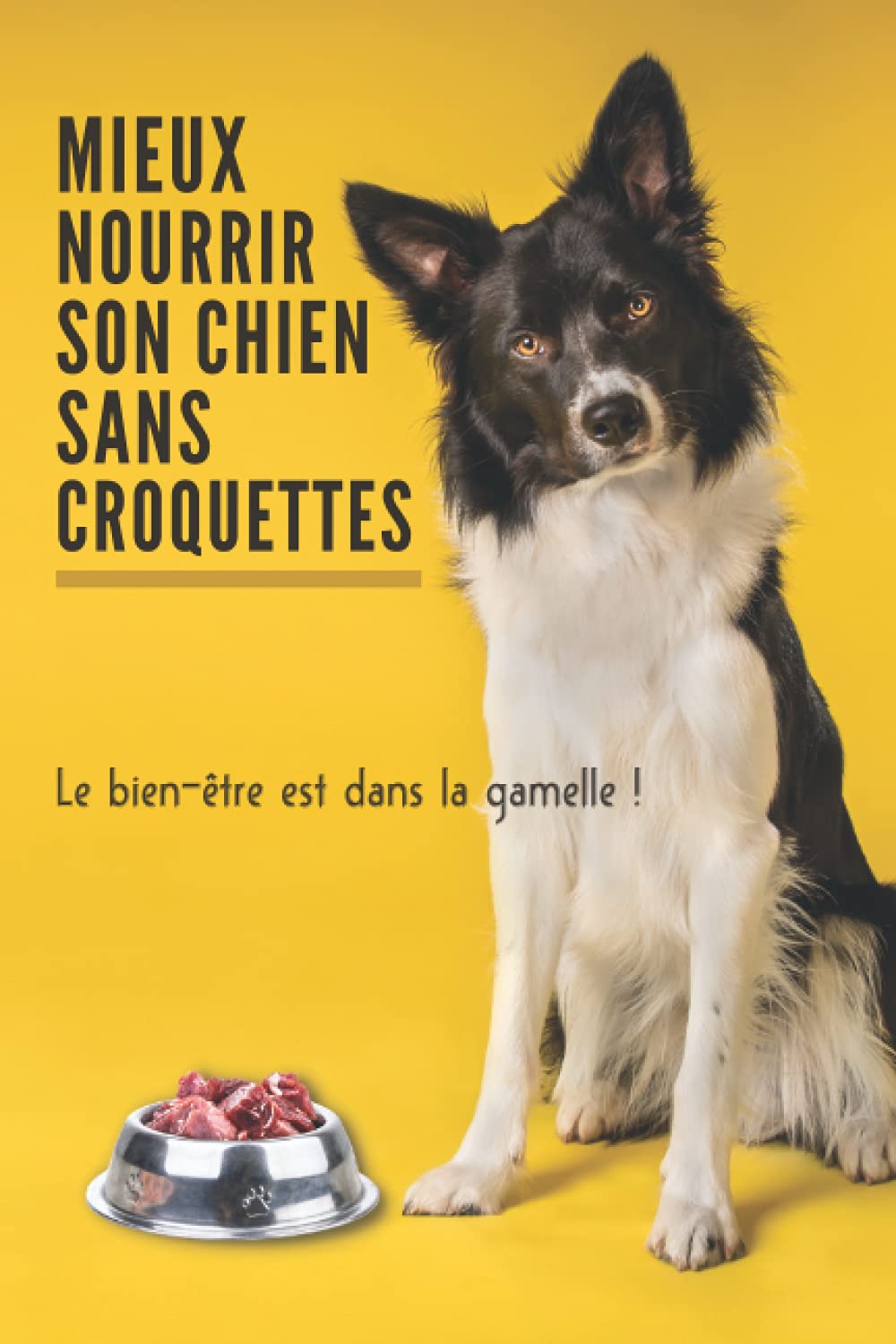 Mieux Nourrir son Chien Sans Croquettes - Le Bien-être est dans la Gamelle: Principes et Conseils - Livre de Recettes pour Chien pour en finir avec les Croquettes Toxiques - Fiches à compléter Pets