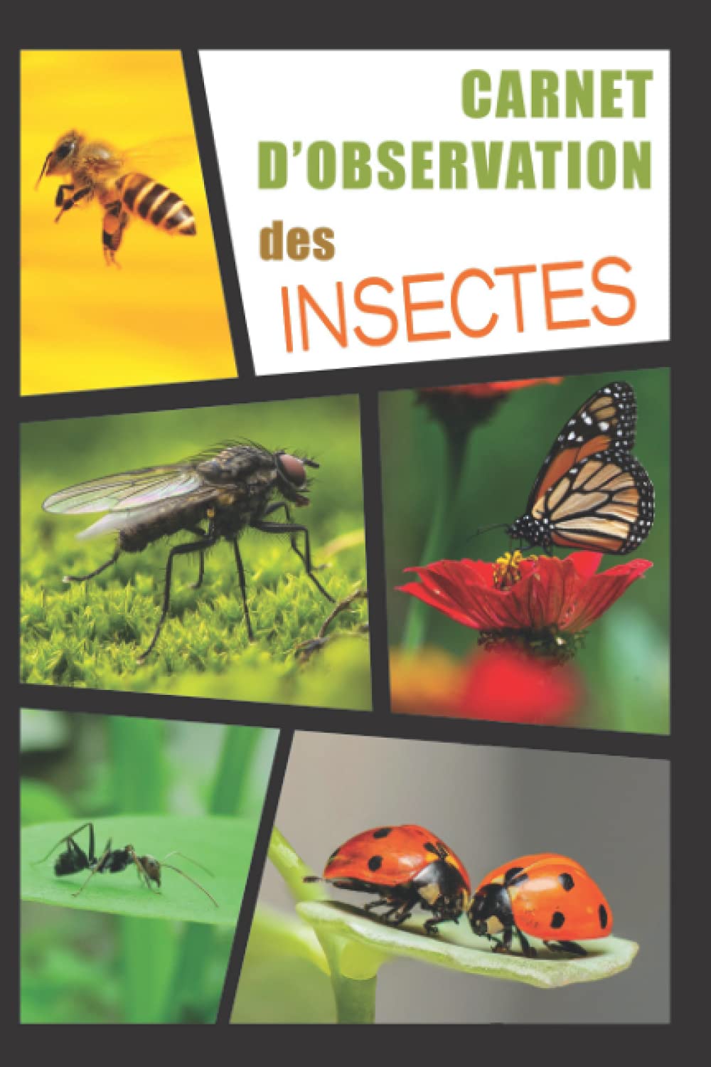 Carnet D'Observation des Insectes: Veritable Journal de Bord de L'Entomologiste pour Apprendre à Observer et Découvrir les Insectes | Cadeau Entomologie pour Enfant, Adolescent et Adulte book