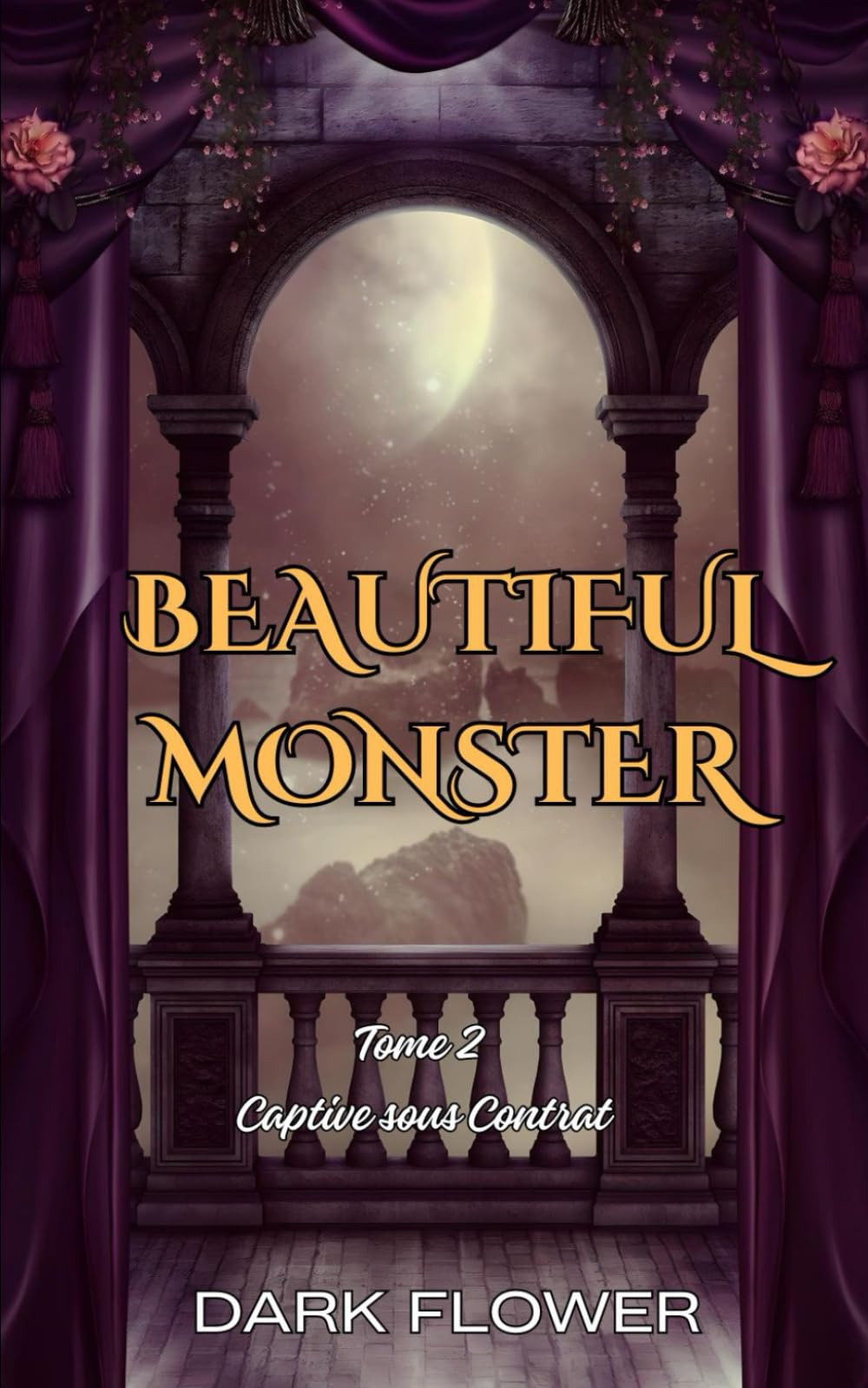 Captive sous Contrat : Beautiful Monster T2 (Dark Romance) Contemporary literature