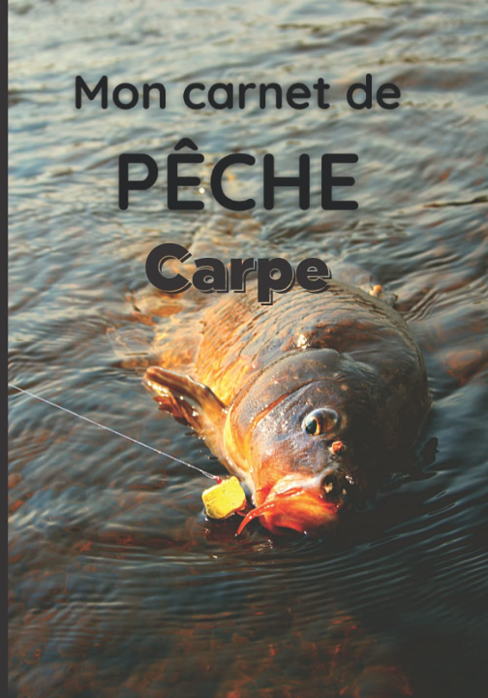 Mon carnet de pêche Carpe: Journal de bord pour carpiste | Format pratique | 100 pages book