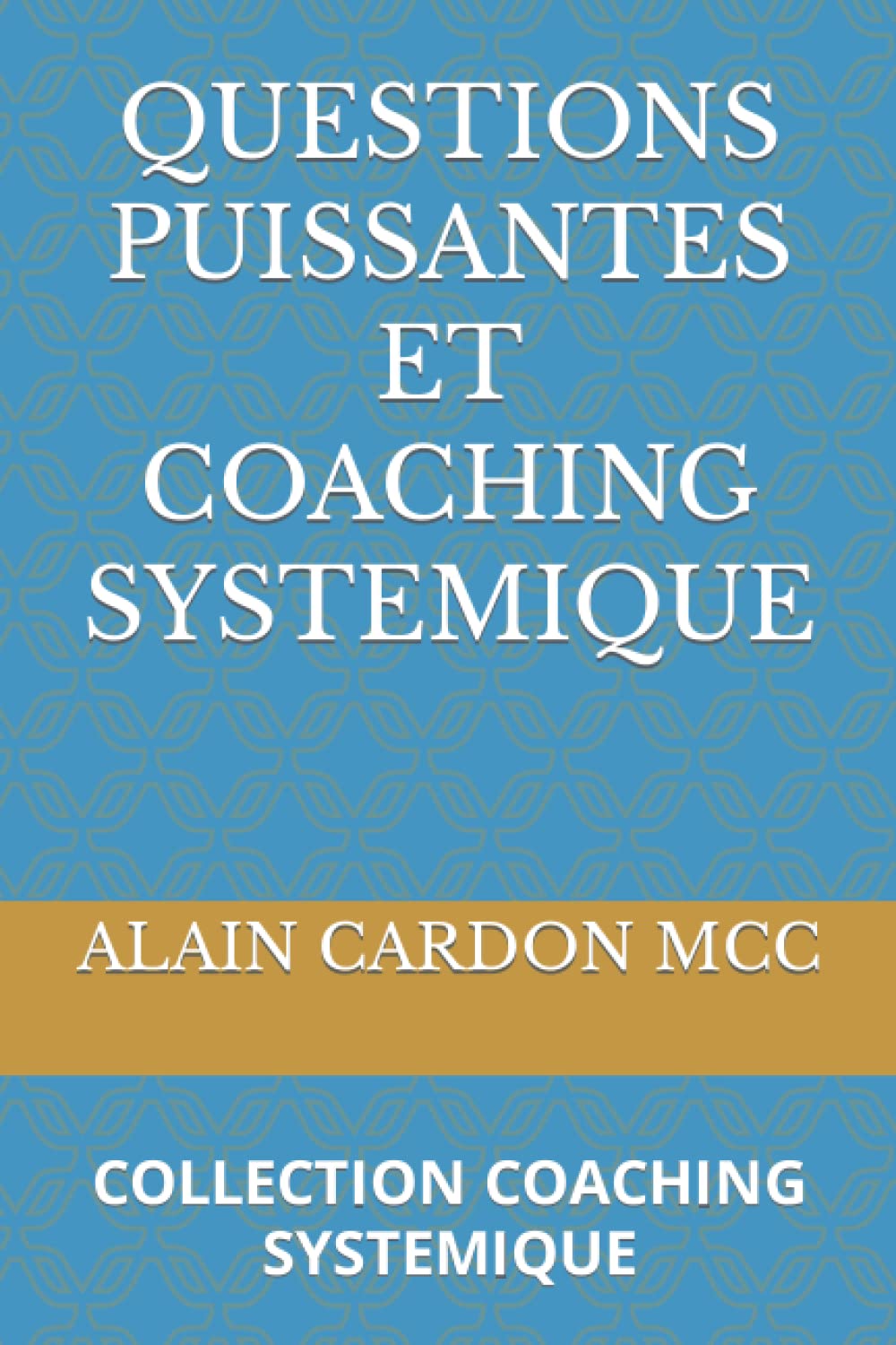 QUESTIONS PUISSANTES ET COACHING SYSTEMIQUE: COLLECTION COACHING SYSTEMIQUE Business, Finance & Career