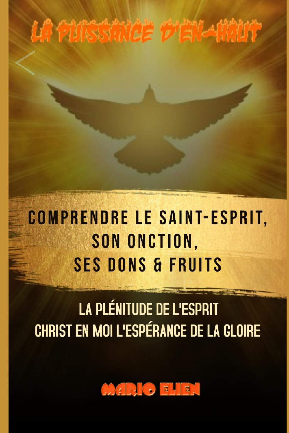 Comprendre le Saint Esprit, son onction, ses dons, ses fruits book