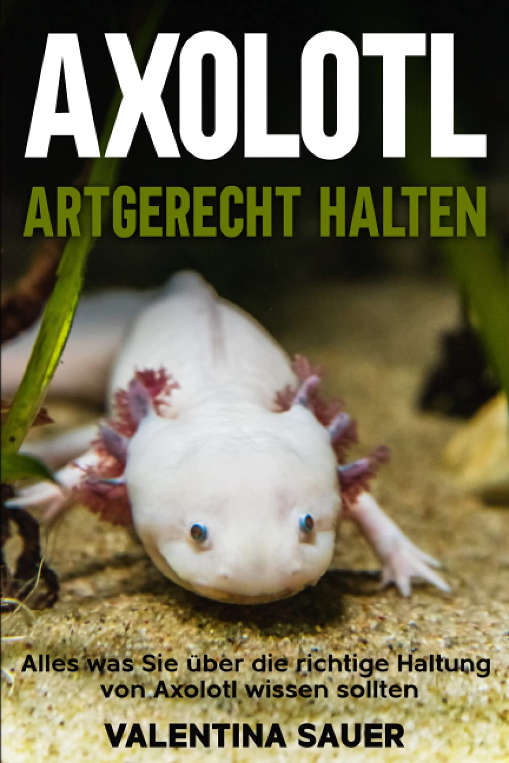 Axolotl artgerecht halten: Alles was Sie über die richtige Haltung von Axolotl wissen sollten book
