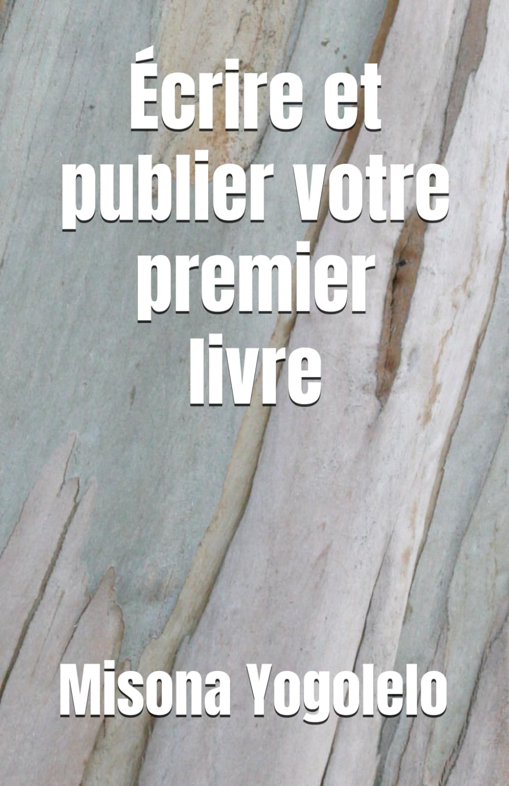 Écrire et publier votre premier livre book