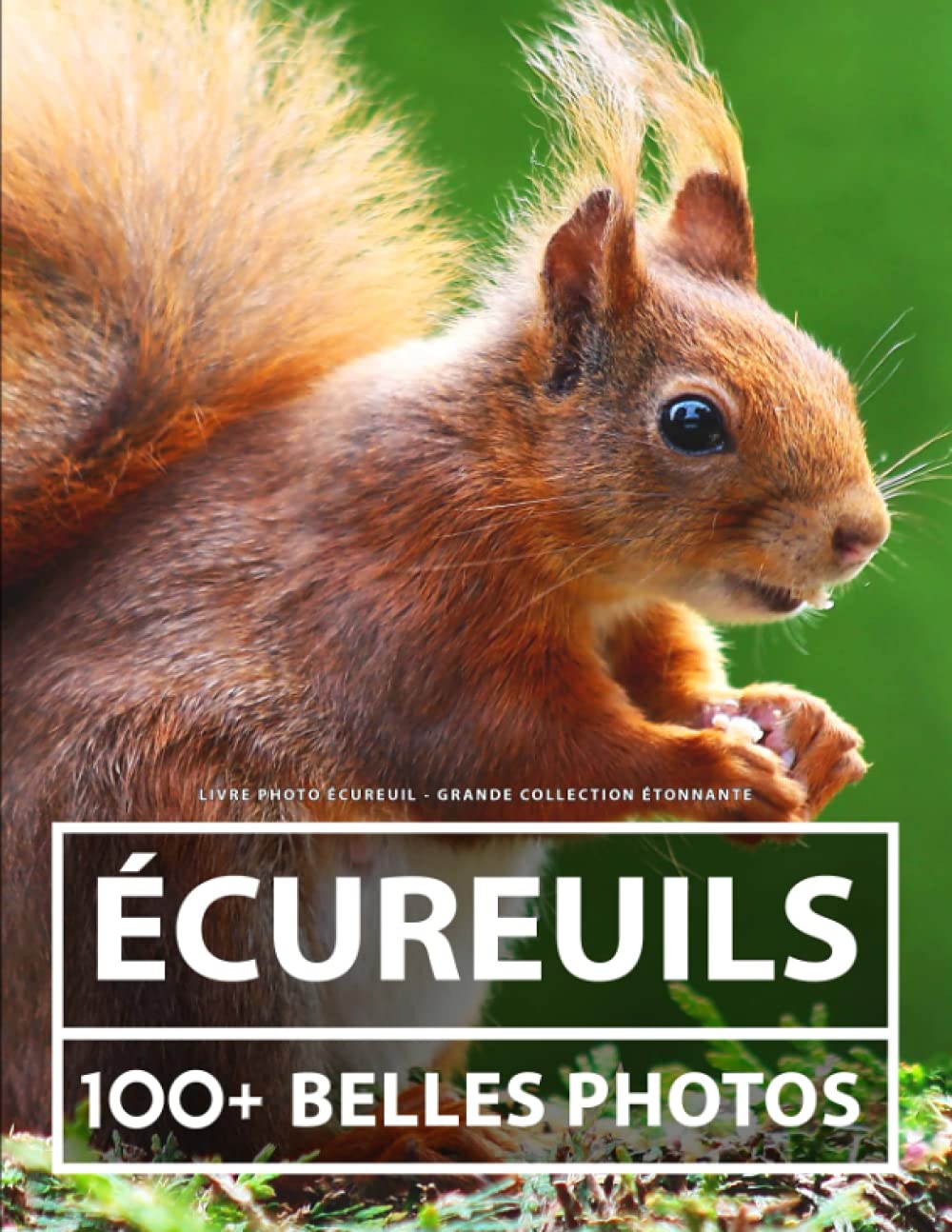 Livre Photo Écureuil - Grande Collection Étonnante: 100 Belles Photos Dans Ce Fantastique Livre - Pour Enfants Et Adultes Nature & Animals