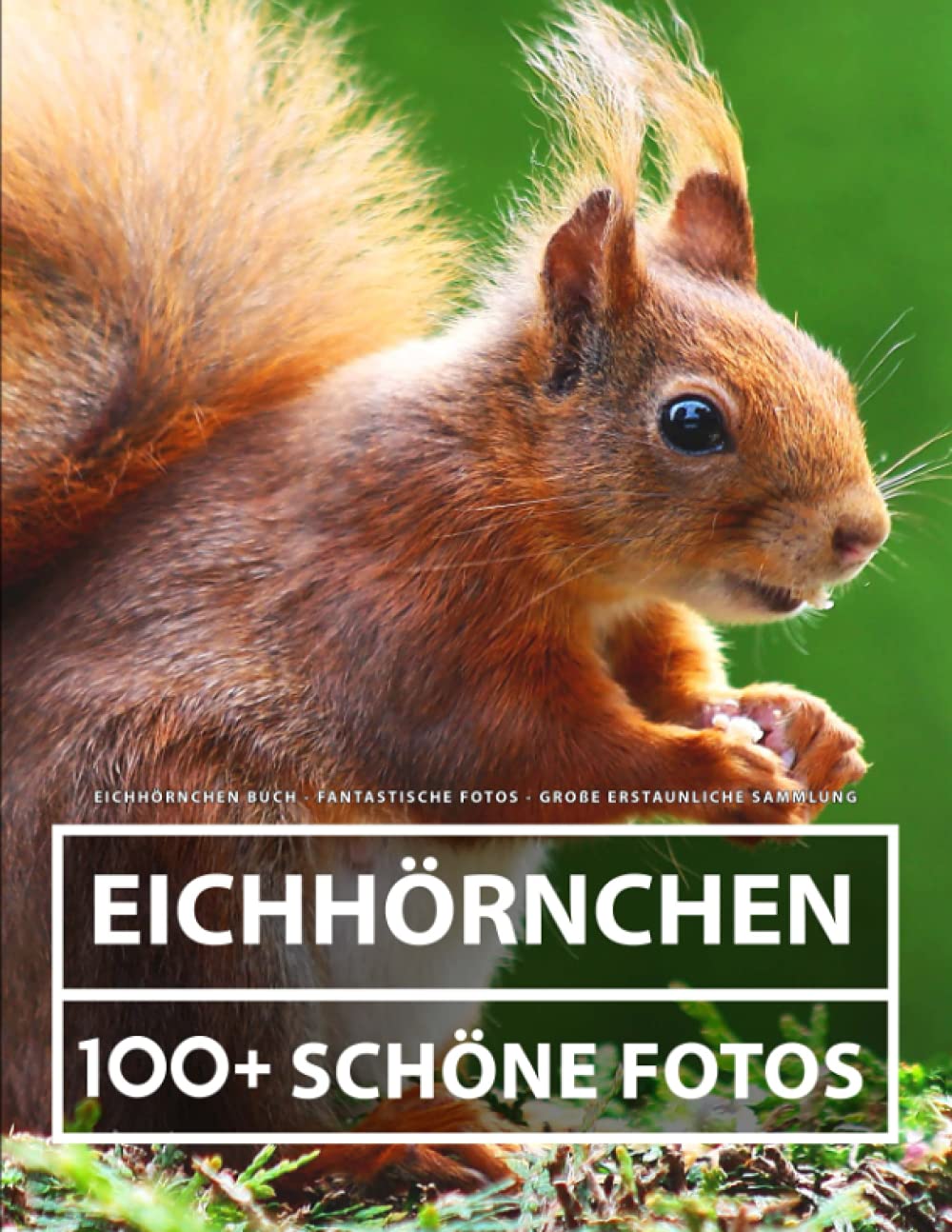 Eichhörnchen Buch - Fantastische Fotos - Große Erstaunliche Sammlung: 100 Wunderschöne Bildern - Für Kinder und Erwachsene Nature & Animals