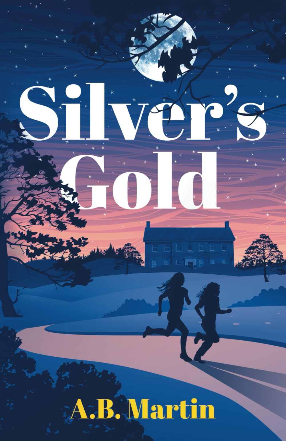 Silver's Gold: An adventure story for 9-13 year olds (Sophie Watson Adventure Mystery Series, Band 4) Novels & Short Stories