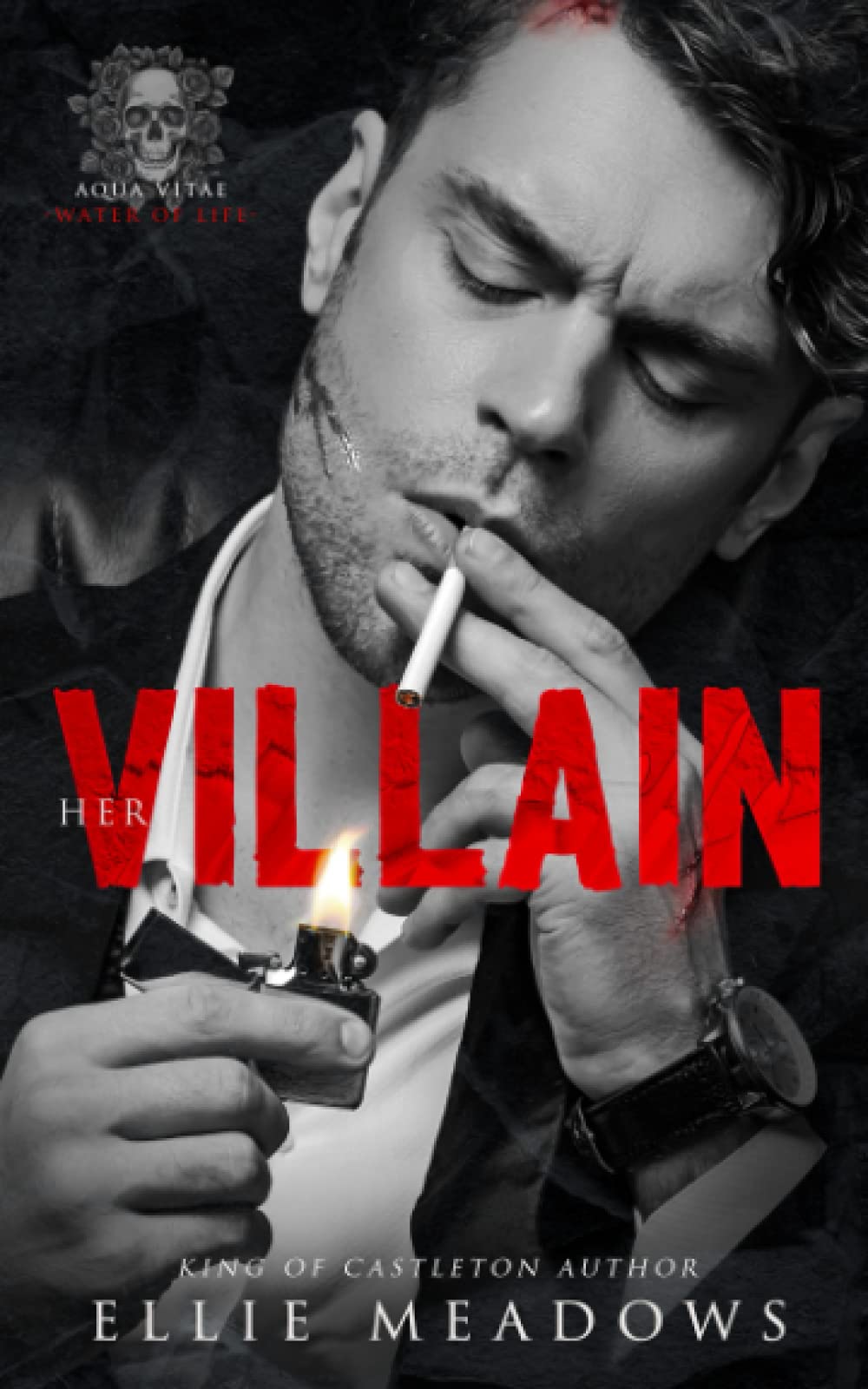 Her Villain: A Dark Bully Romance (Aqua Vitae Duet, Band 1) Contemporary literature