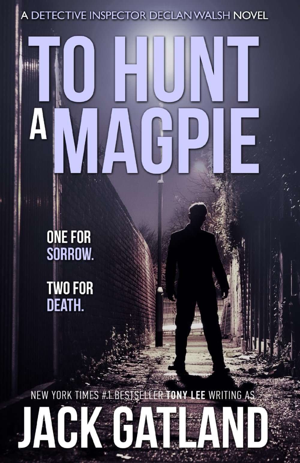 To Hunt A Magpie: (Detective Inspector Declan Walsh Crime Series Book 5) book