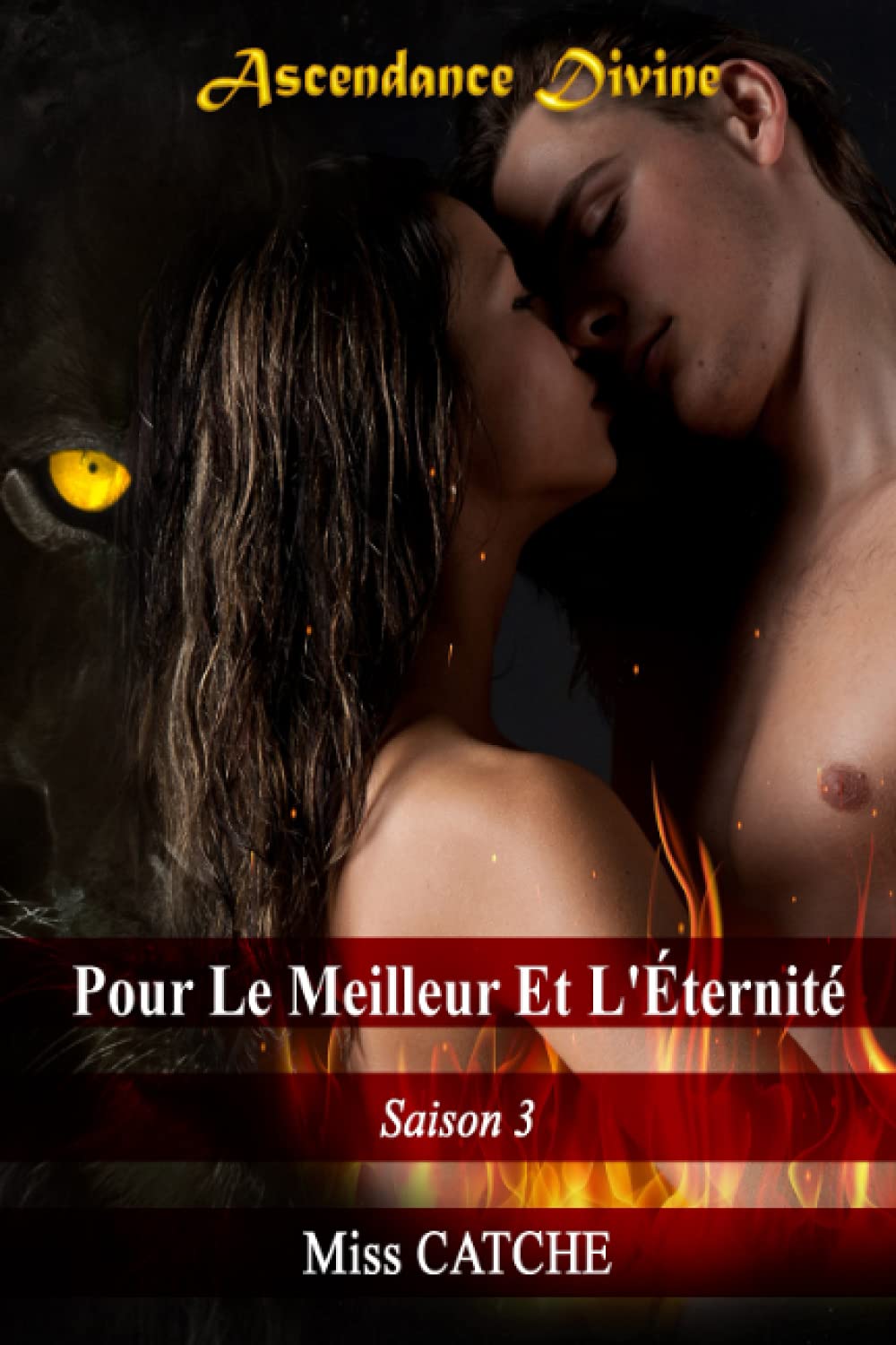 Pour Le Meilleur et L'Éternité saison 3 book