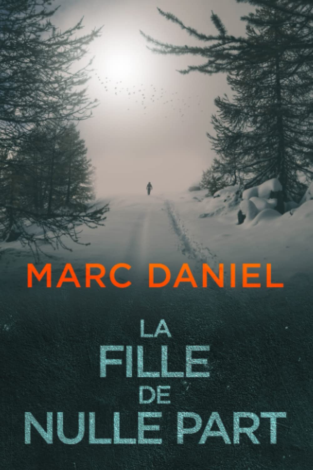 La Fille de Nulle Part (Ethan Archer, Band 1) Detective & CSI
