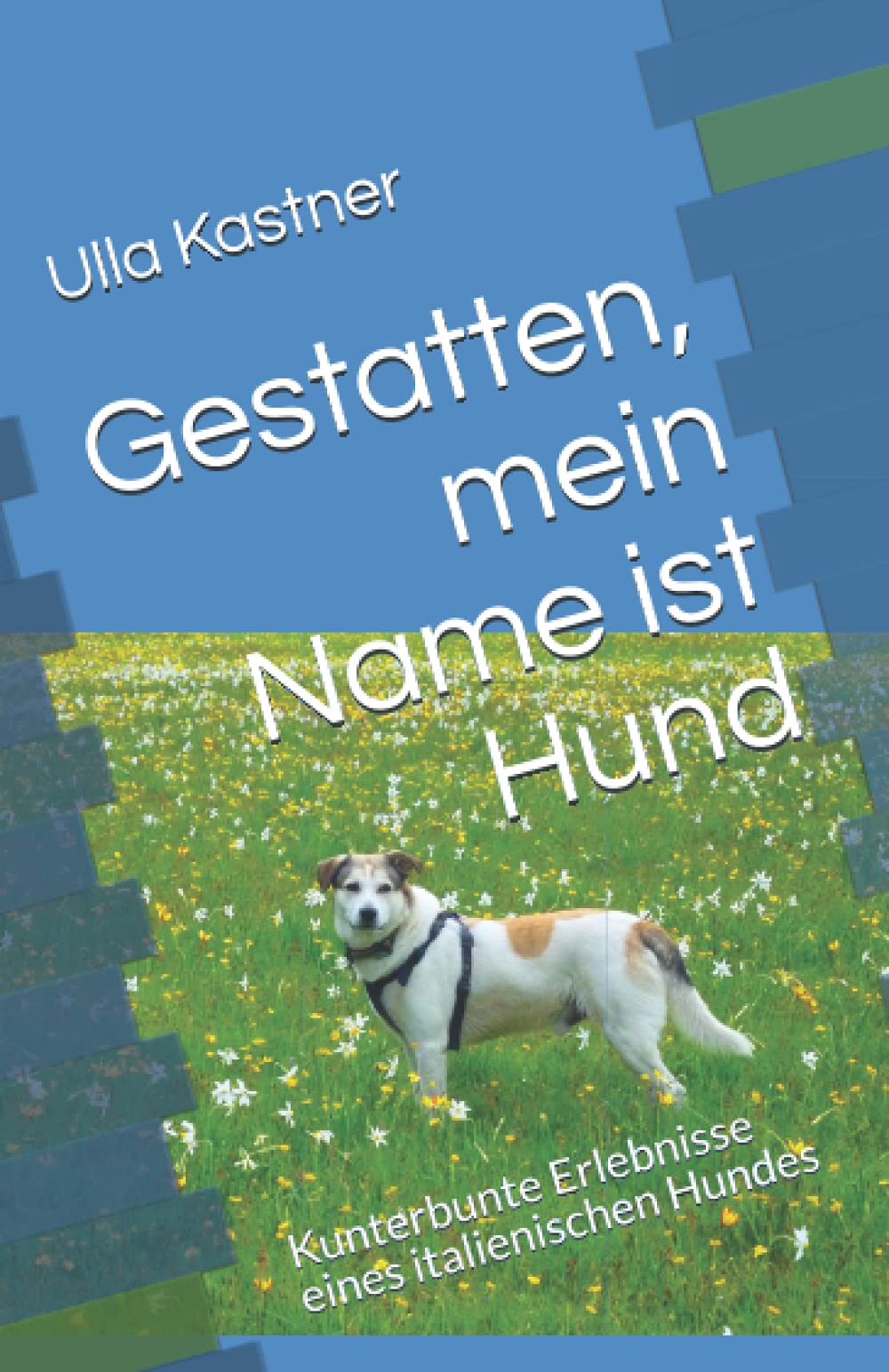 Gestatten, mein Name ist Hund: Kunterbunte Erlebnisse eines italienischen Hundes book