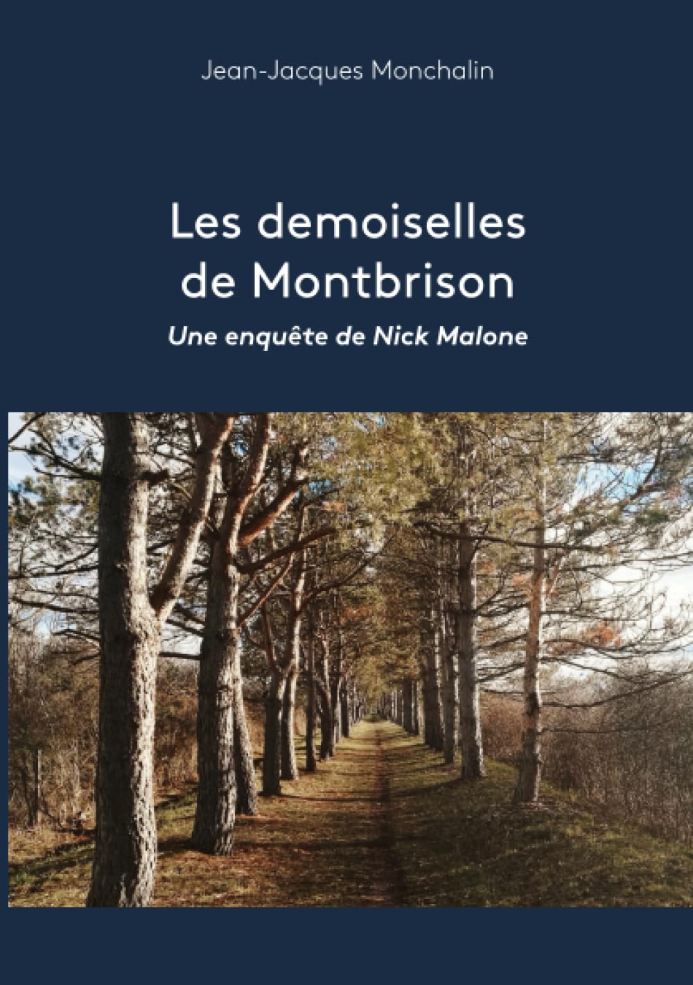 Les demoiselles de Montbrison: Une enquête de Nick Malone book