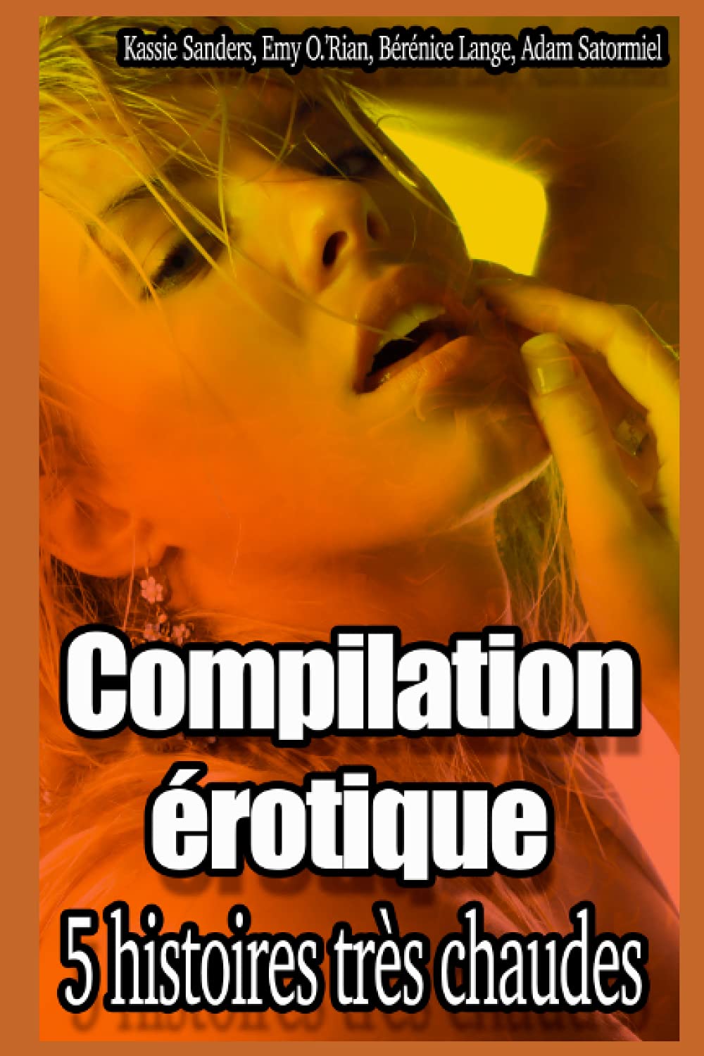 Compilation érotique, 5 histoires très chaudes: Nouvelles pour adultes en français, interdit aux moins de 18 ans Eroticism