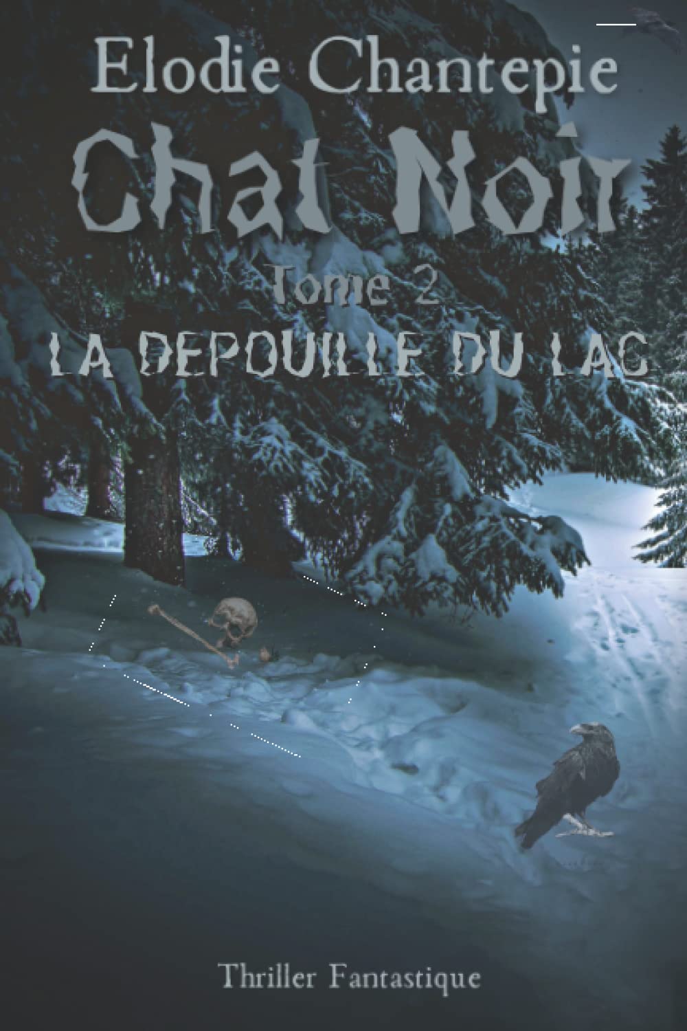 Chat Noir Tome 2: La dépouille du lac Horror & Mystery