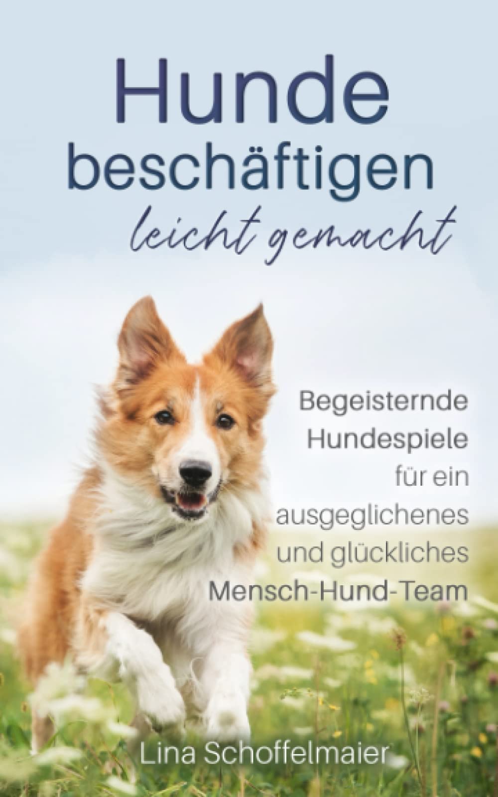 Hunde beschäftigen leicht gemacht: Begeisternde Hundespiele für einen ausgeglichenes und glückliches Mensch-Hund-Team Pets