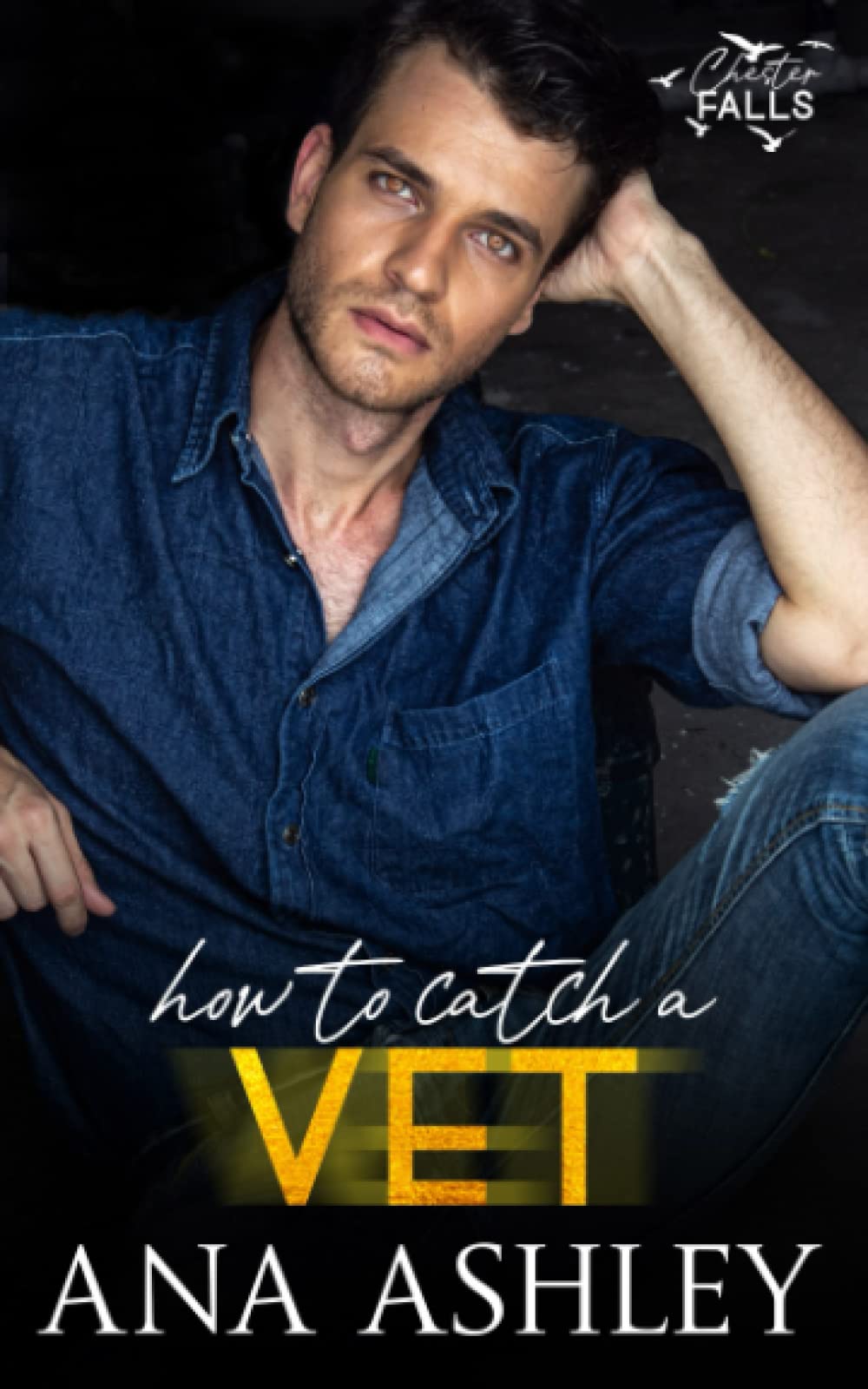 How to Catch a Vet: an opposites attract MM Romance (Chester Falls, Band 6) LGBTQ+
