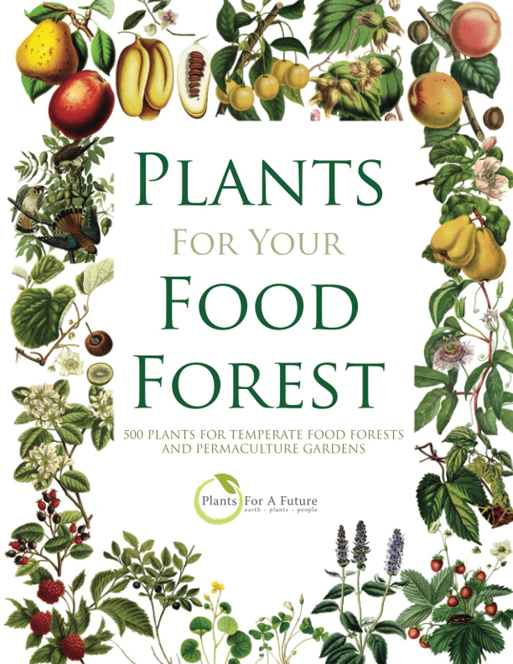 PLANTS FOR YOUR FOOD FOREST: 500 PLANTS FOR TEMPERATE FOOD FORESTS AND PERMACULTURE GARDENS Garden & Plants