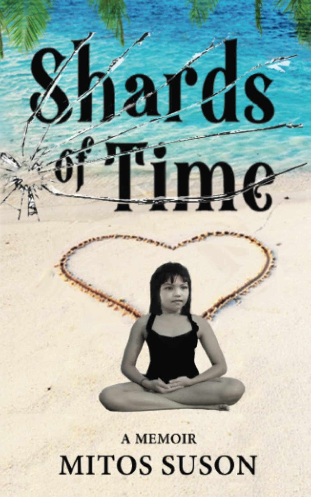 Shards of Time: A Memoir Politics & Society
