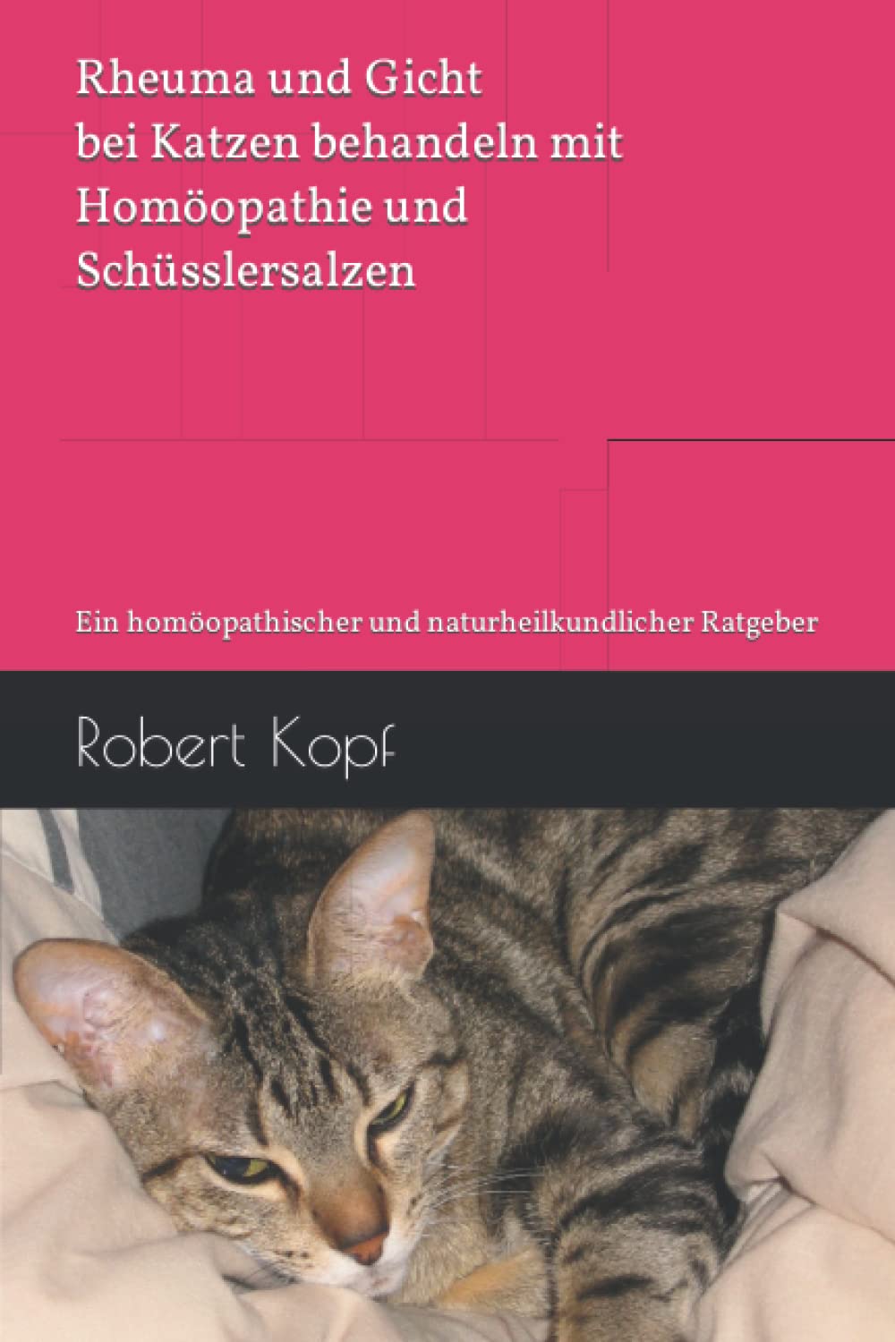 Rheuma und Gicht bei Katzen behandeln mit Homöopathie und Schüsslersalzen: Ein homöopathischer und naturheilkundlicher Ratgeber Health, Nutrition & Fitness