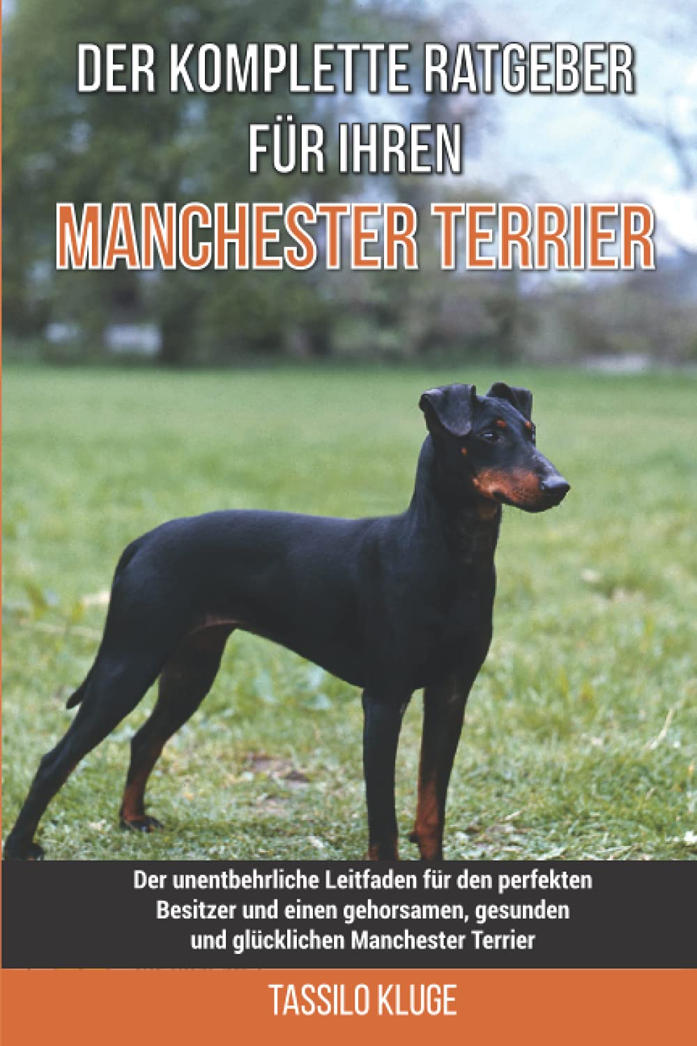Der komplette Ratgeber für Ihren Manchester-Terrier: Der unentbehrliche Leitfaden für den perfekten Besitzer und einen gehorsamen, gesunden und glücklichen Manchester-Terrier Pets