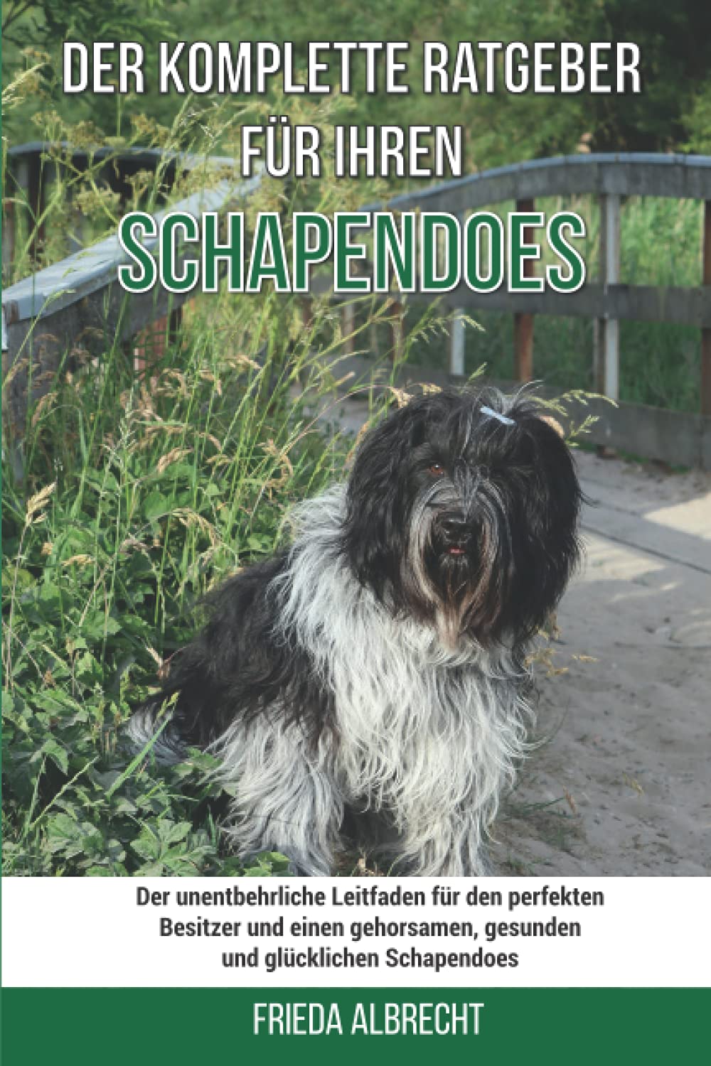 Der komplette Ratgeber für Ihren Schapendoes: Der unentbehrliche Leitfaden für den perfekten Besitzer und einen gehorsamen, gesunden und glücklichen Schapendoes Pets